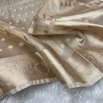 Champagne Gold Banarasi Tissue Silk Saree - BN46