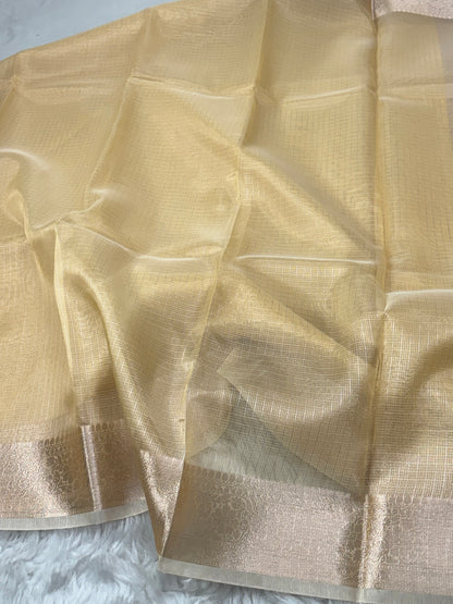 Pastel Yellow Tissue Silk Banarasi Border Saree