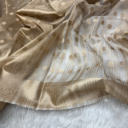 Champagne Gold Banarasi Tissue Silk Saree - BN46